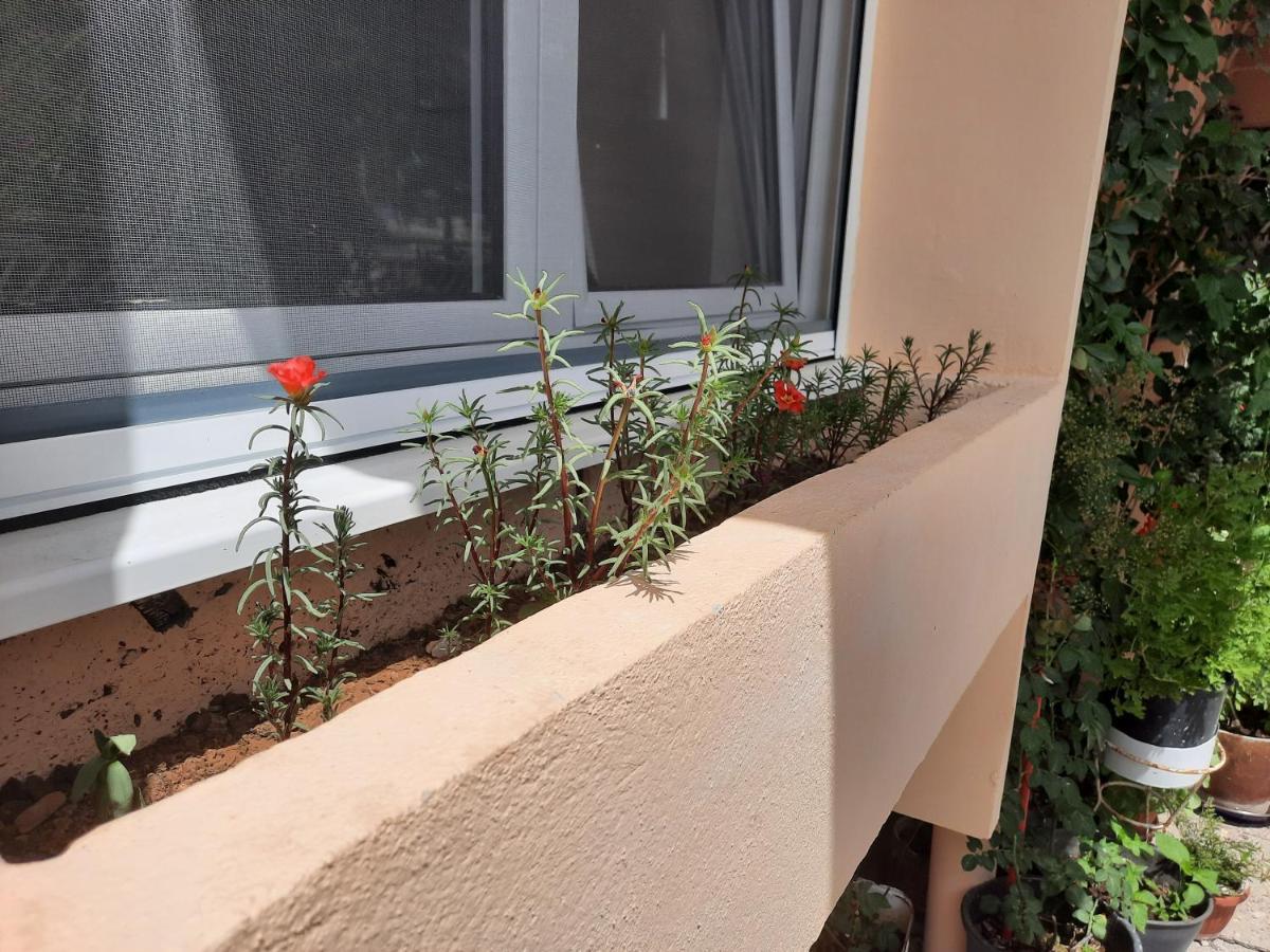 Montenegro Sea Pearl Apartments Petrovac المظهر الخارجي الصورة