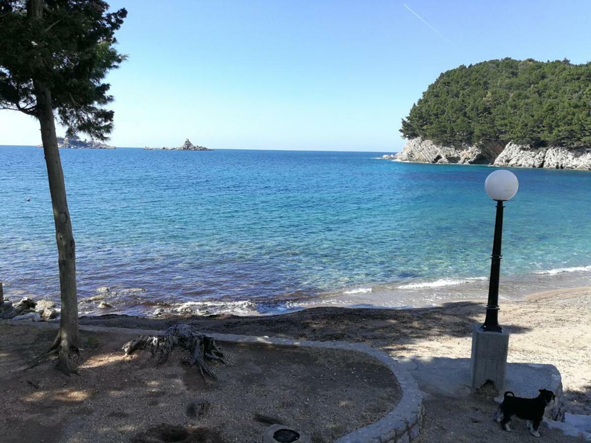 Montenegro Sea Pearl Apartments Petrovac المظهر الخارجي الصورة